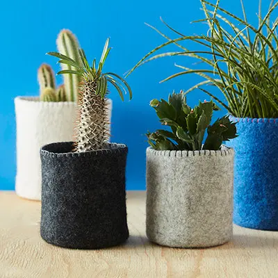 24 Cm Modern Flower Pot – Matte Finish 1