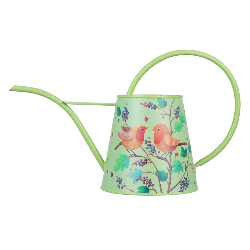 British Bloom-Style Long-Spout Watering Can In Green For Garden Use 1