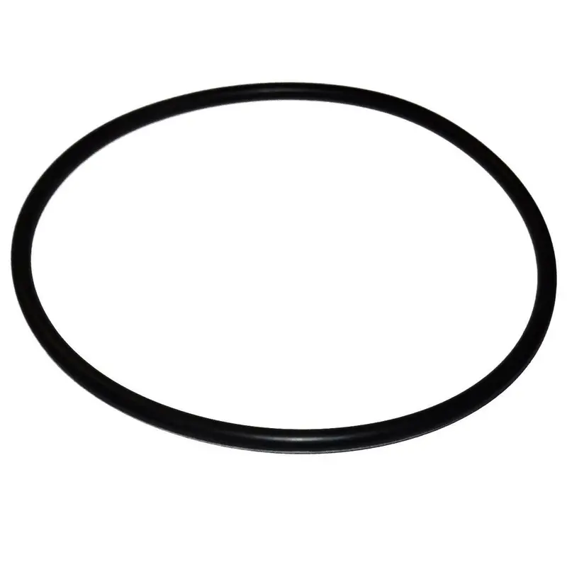 Cr Spotless Replacement O-Ring For Canister Systems 1