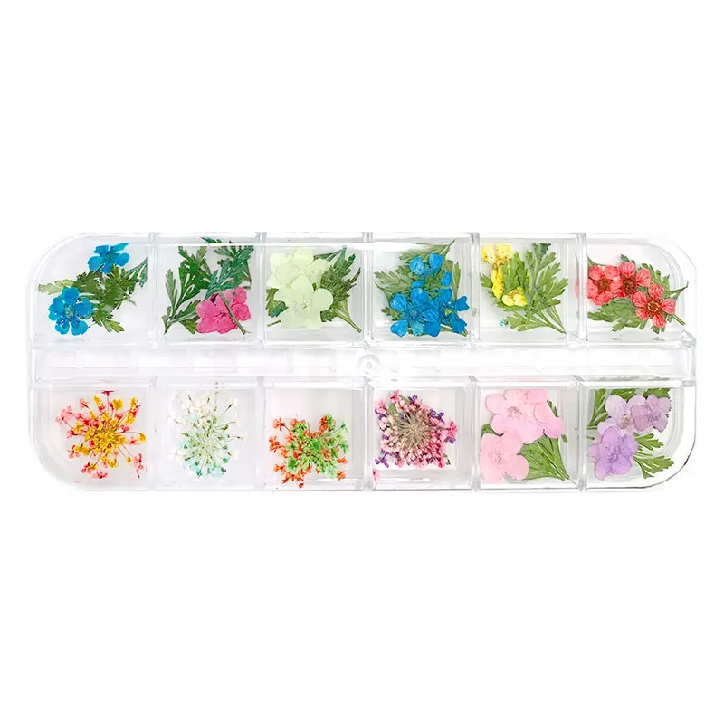 Daily Charme Dainty Pressed Flower & Leaf Embellishment Set – Natural Botanical Nail Art 1