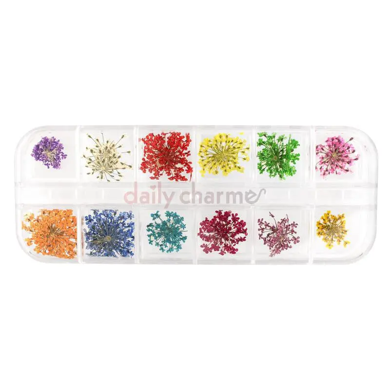 Daily Charme Lace Flowers Pressed Botanical Set – Delicate Floral Nail Decor 1