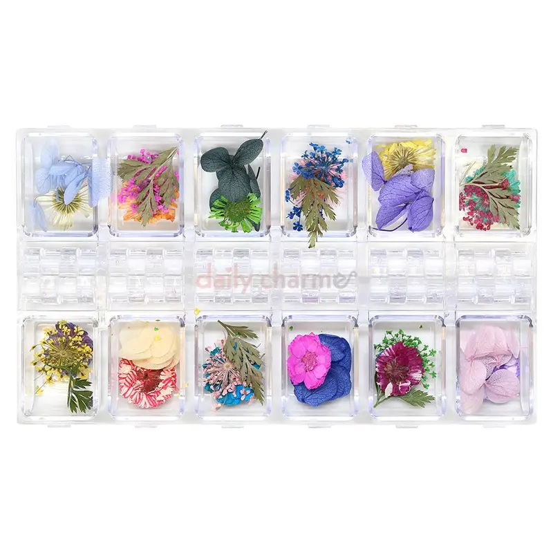 Daily Charme Mixed Pressed Flower & Leaf Embellishments – Curated Natural Nail Accents 1