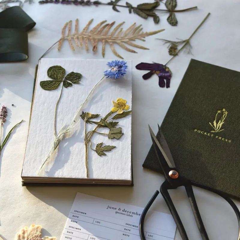 Field Press Flower Drying Kit – Compact Botanical Press System 1