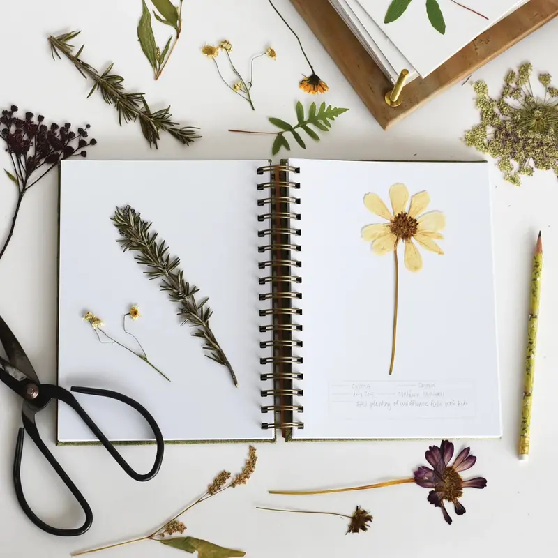 Herbarium Journal: Fern Edition – Forest Green Hardcover Botanical Logbook 1