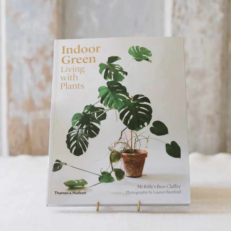 Indoor Green: A Guide To Living Harmoniously With Houseplants 1