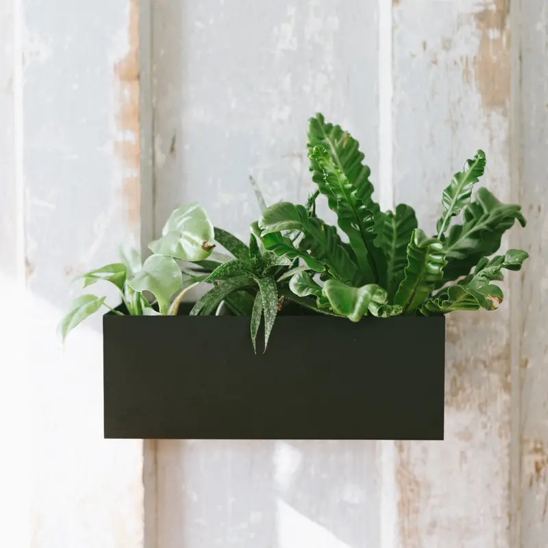 Modern Wall-Mounted Planter Box 1