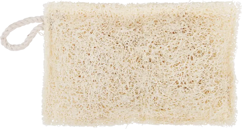 Natural Loofah Dish Sponge – Biodegradable Kitchen Cleaner 1