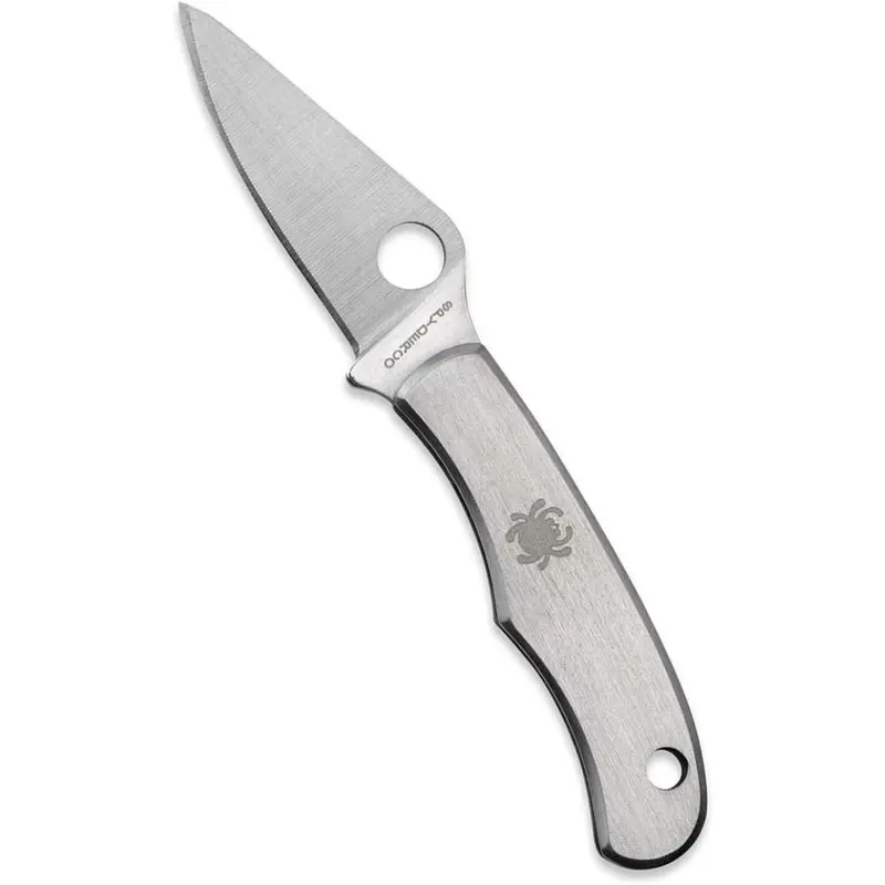 Spyderco Bug Stainless Steel Folding Knife - C133P 1