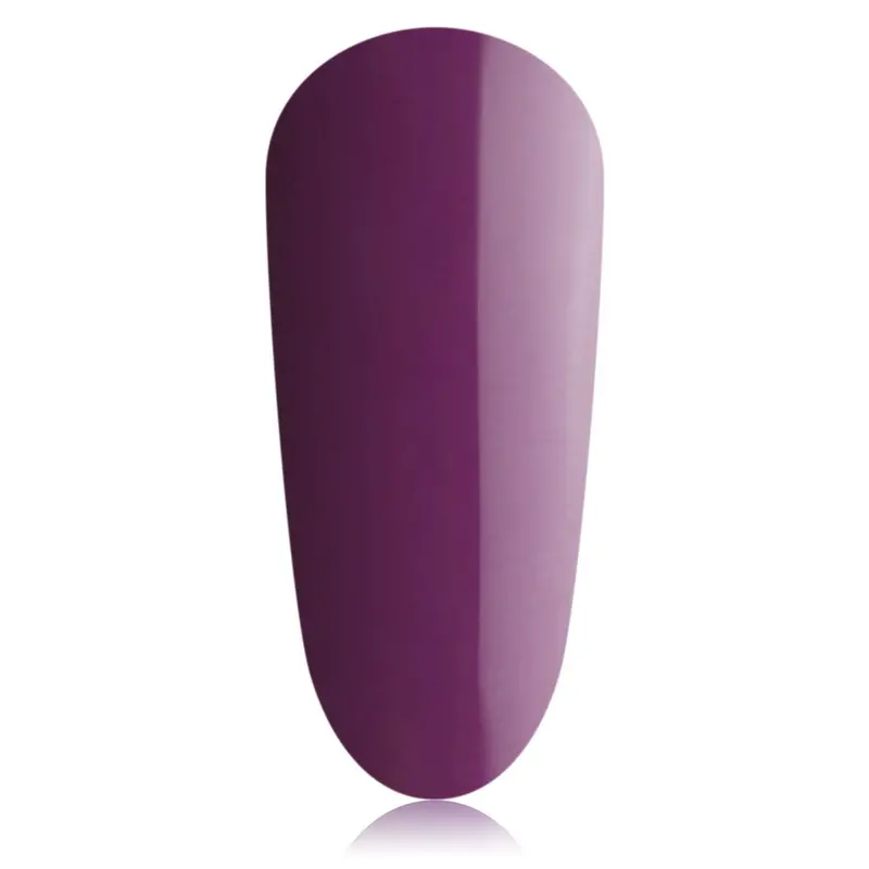 The Gelbottle Aubergine Gel Polish – 0.67 Oz Sophisticated Eggplant Nail Gel 1