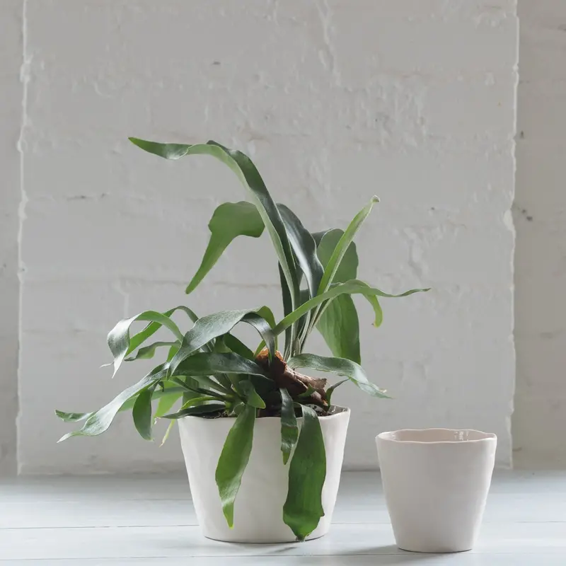 Unglazed Stoneware Planter Pot 1