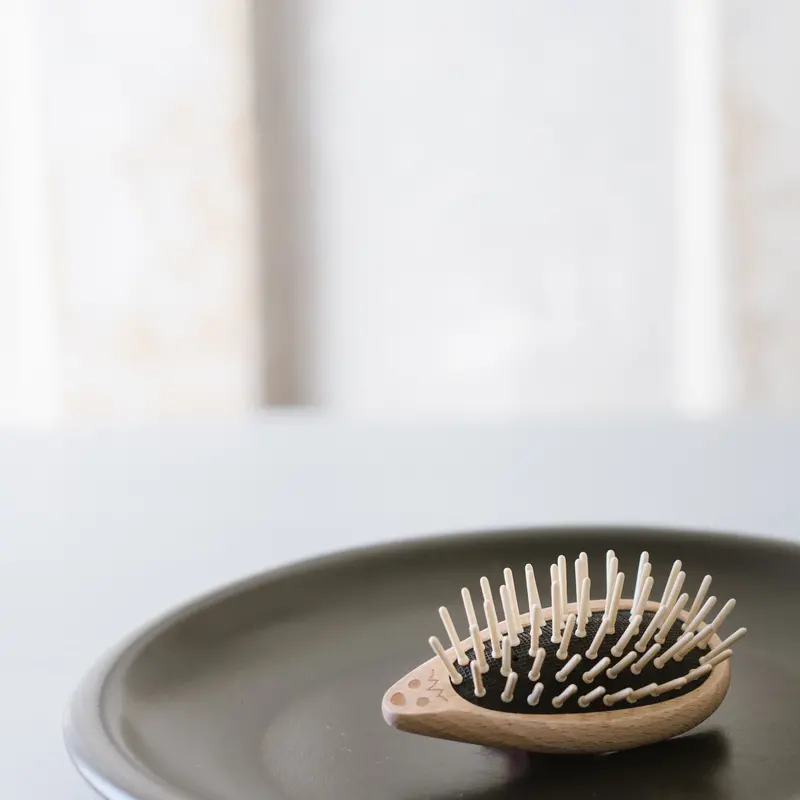 Wooden Hedgehog-Shaped Hairbrush – Gentle Detangling 1